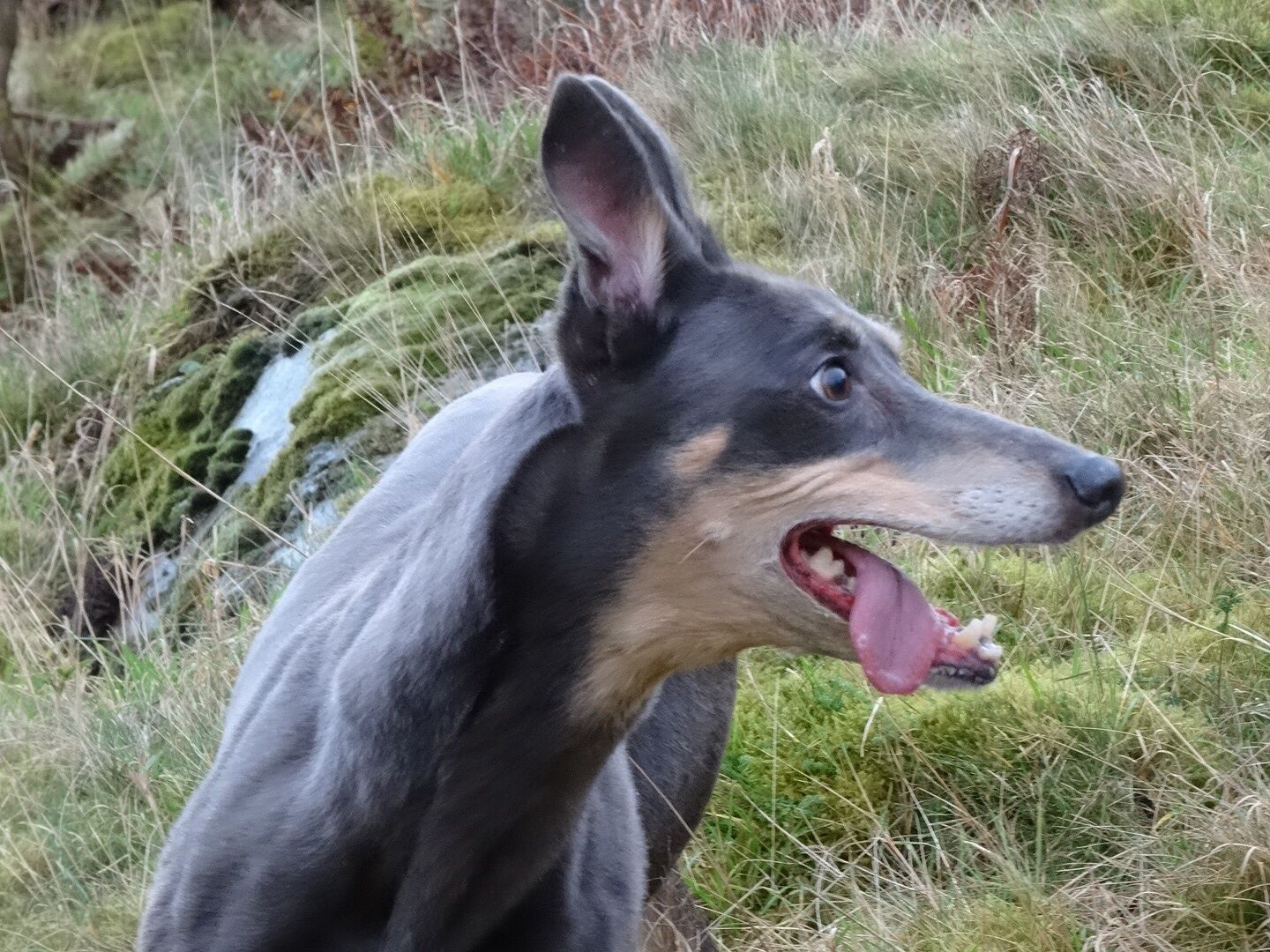 imagejpg19_zps109647e7.jpg