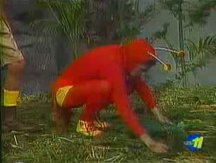 aviboraviboradomar7713.jpg