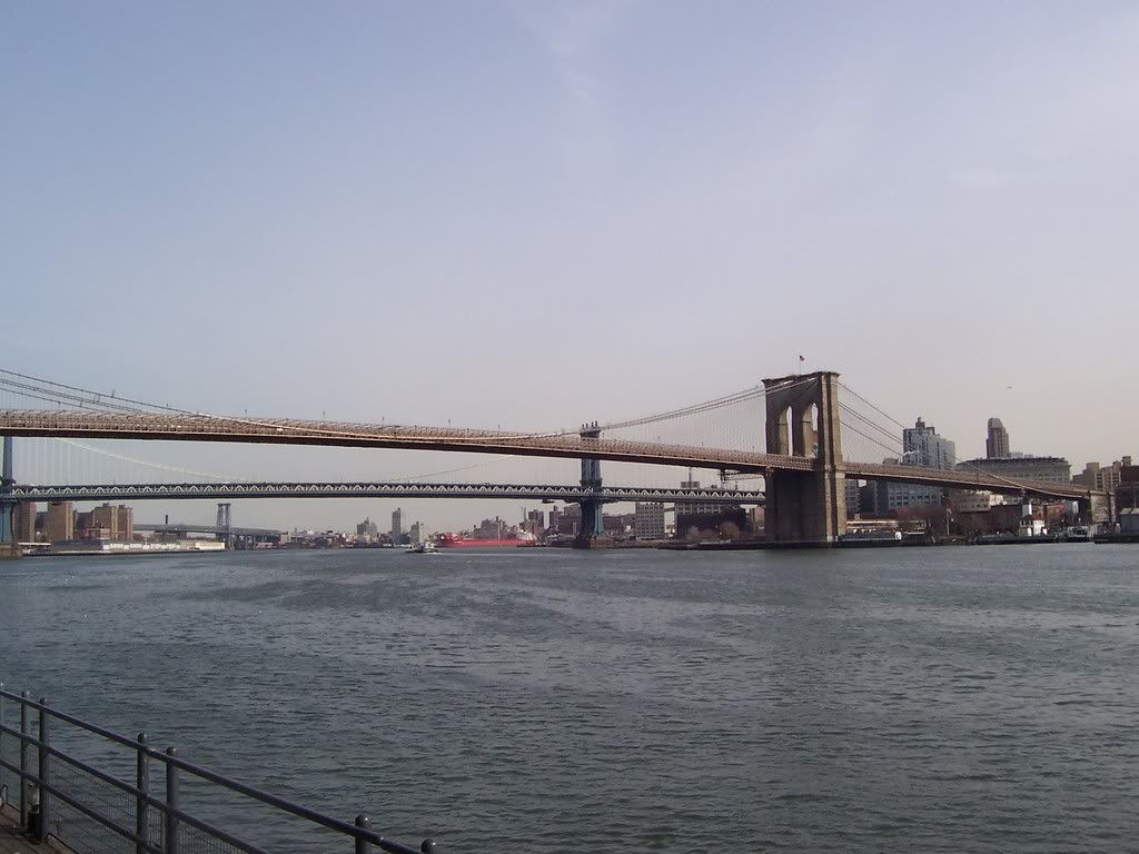 100_1677.jpg