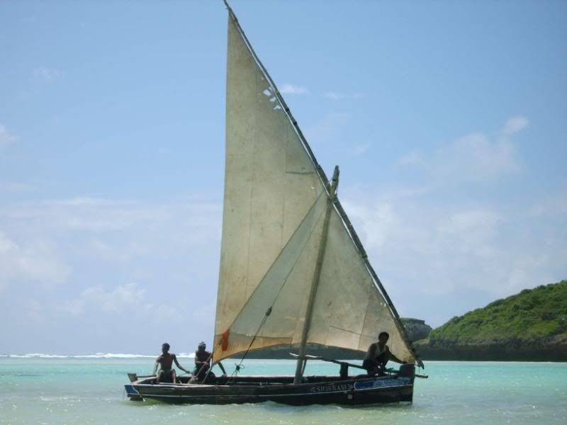 XL800077.jpg