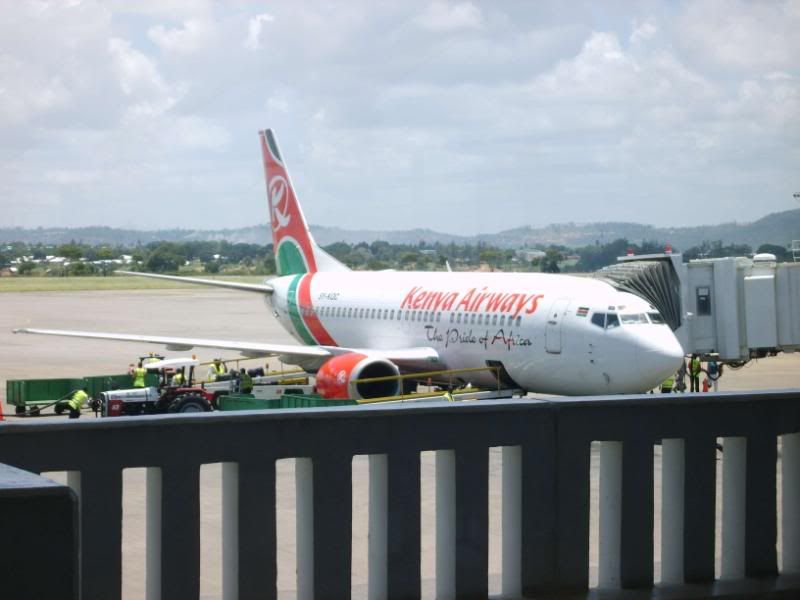 XL800186.jpg