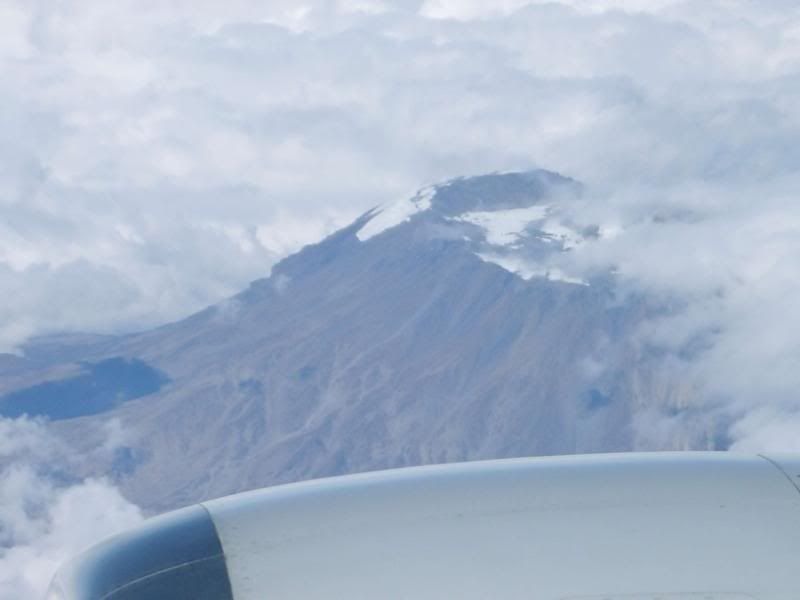 XL802050.jpg