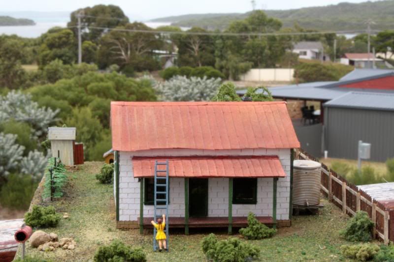 [Image: img_0228.jpg]