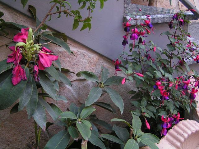 PICT0003.jpg