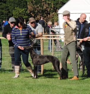 midlandgamefair2010010-1.jpg