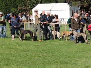 midlandgamefair2010010.jpg