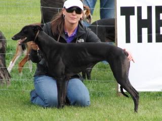 midlandgamefair2010020.jpg