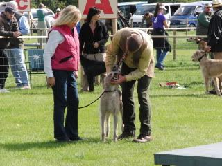 midlandgamefair2010036.jpg