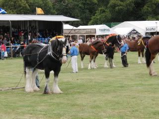 midlandgamefair2010052.jpg