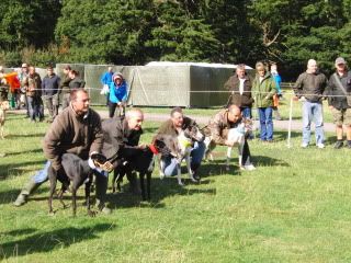 midlandgamefair2011006.jpg