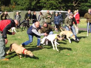 midlandgamefair2011011.jpg