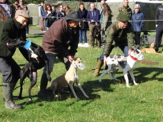 midlandgamefair2011012.jpg