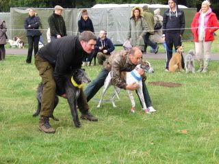 midlandgamefair2011013.jpg