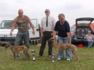 northstaffshuntshow2011022.jpg