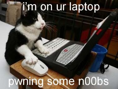 lolcat.jpg