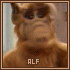 Alf2.gif
