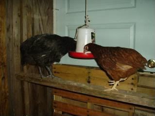 http://i204.photobucket.com/albums/bb213/artindesign/PICT0664-1.jpg
