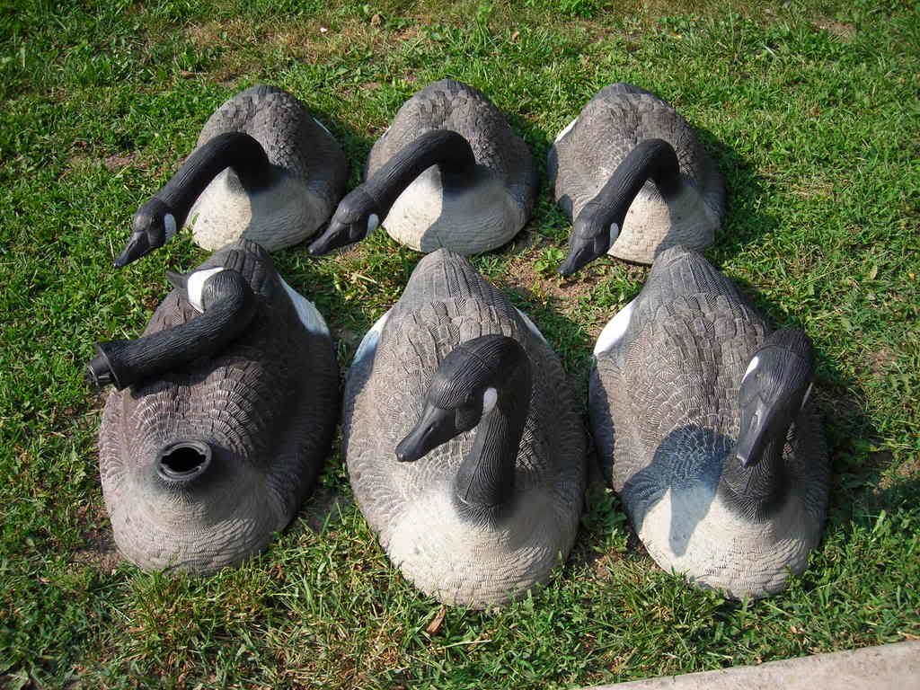 goose decoys for sale Duck Hunting Forum
