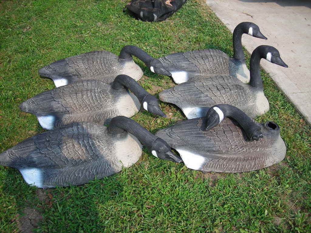 goose decoys for sale Duck Hunting Forum