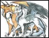 Contest__Moeru_and_Jemina_by_Majime.jpg Winged Wolves image by celestialgaurdianfox