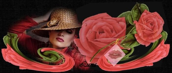 rosas.jpg picture by lunacamino