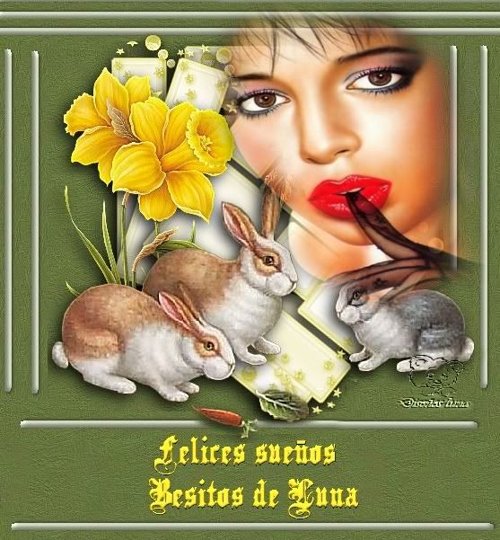 felicessueos.jpg picture by lunacamino