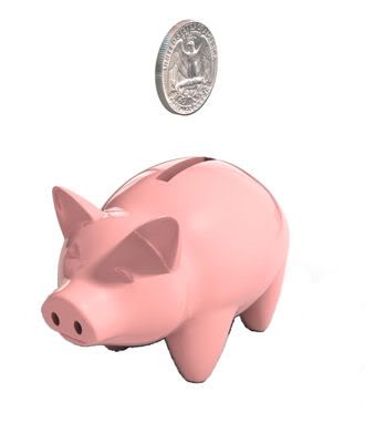 piggybank.jpg picture by lionamaya2