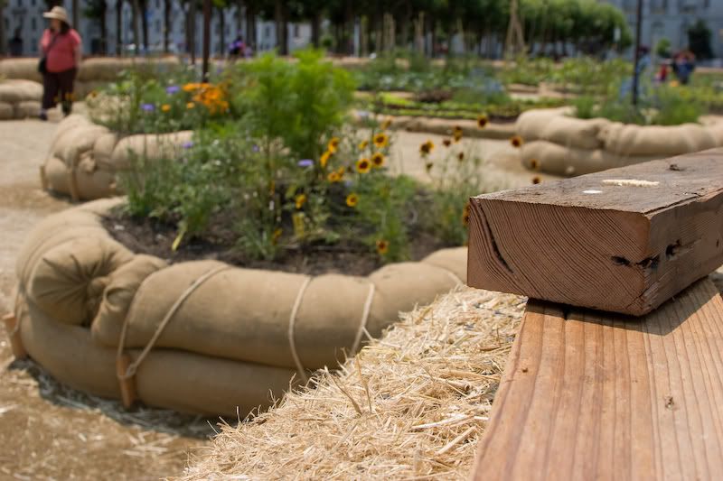 IMAGE: http://i204.photobucket.com/albums/bb231/natephillips/SF/SanFransisco022-1.jpg