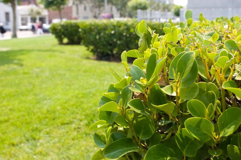 IMAGE: http://i204.photobucket.com/albums/bb231/natephillips/SF/SanFransisco036-1.jpg