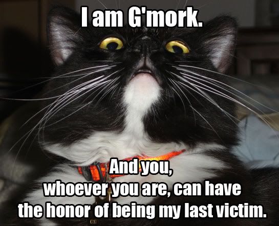 gmorkcat.jpg