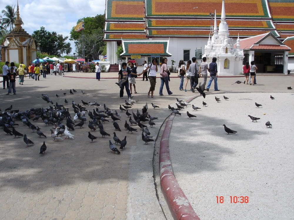 เที่ยวนครศรีธรรมราช