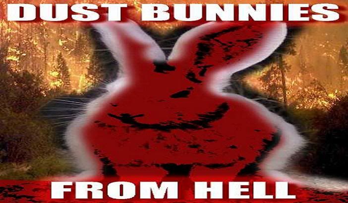 Dustbunniesfromhell-1.jpg picture by cap_franklin