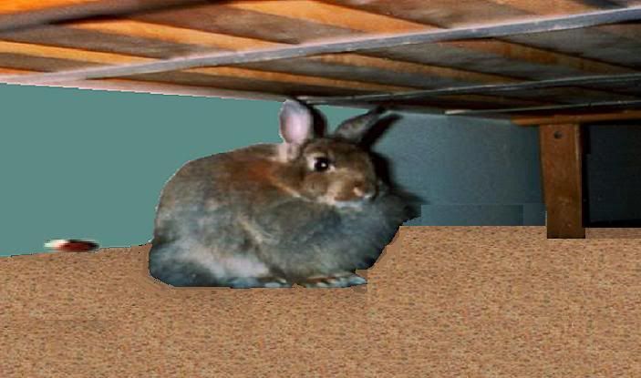 ballunderbread.jpg picture by cap_franklin