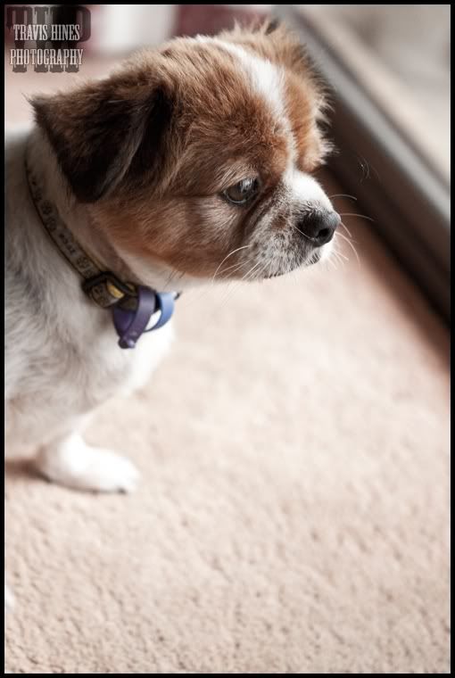 IMAGE: http://i204.photobucket.com/albums/bb265/8lueoval/Random/IMG_0002copy.jpg