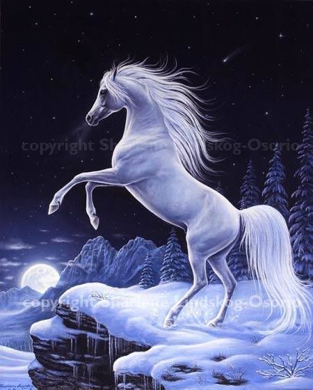 horse painting Pictures, Images and Photos