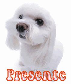 a811fa5275.gif picture by KOPY_SS