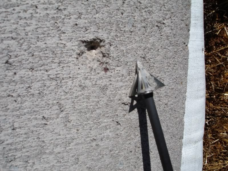 Easton Axis St arrows and Broadhead Adapter Rings Archery Talk Forum