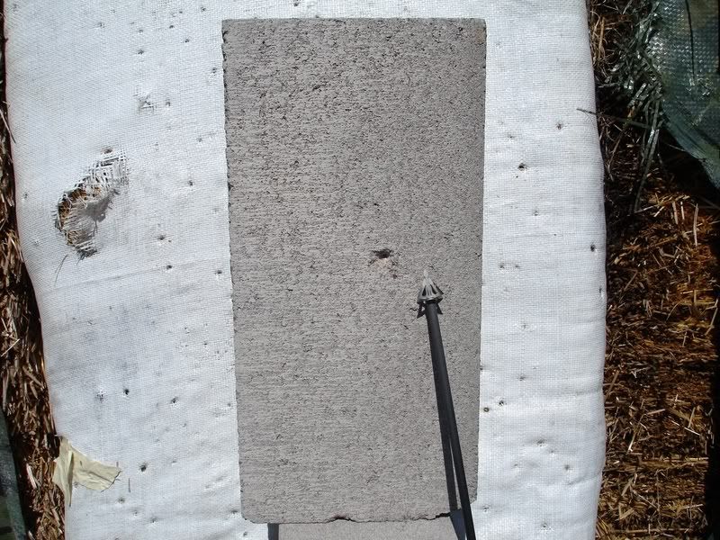 Easton Axis St arrows and Broadhead Adapter Rings Archery Talk Forum