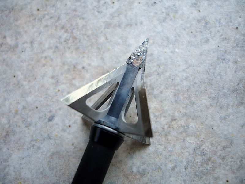 Easton Axis St arrows and Broadhead Adapter Rings Archery Talk Forum