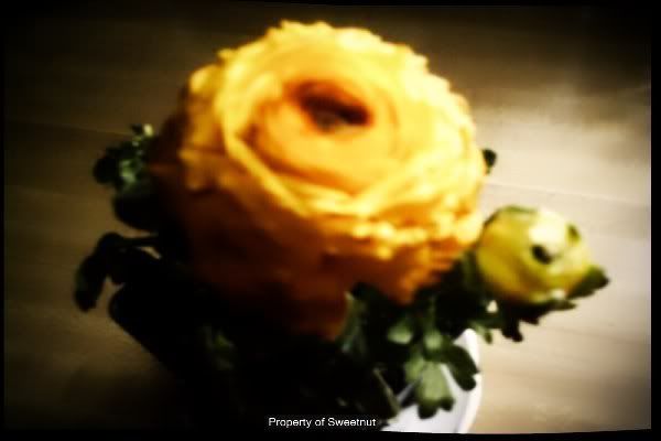 yellowflowerwithbud.jpg