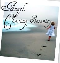 Chasing Serenity Blog