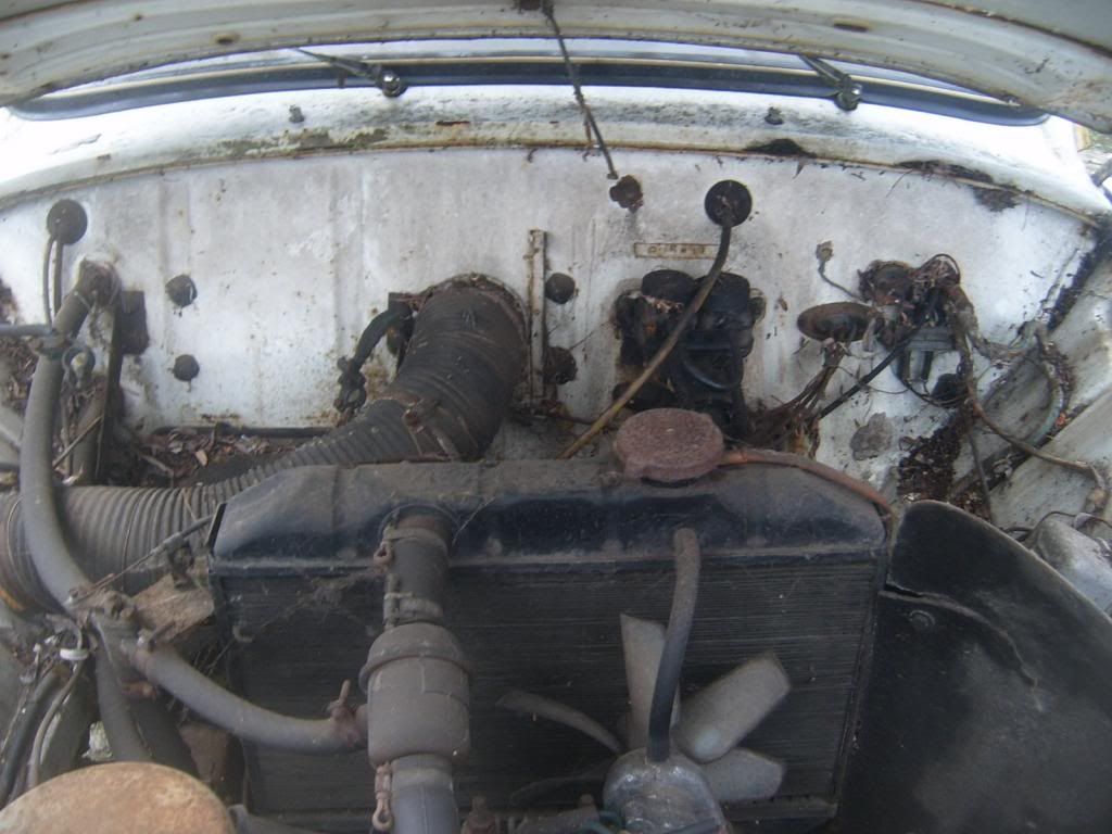 S3700011_zps9bbf07c2.jpg