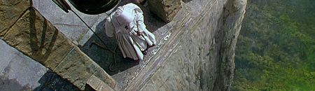 Black Narcissus