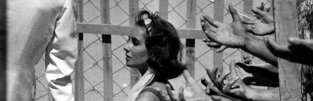 Suddenly, Last Summer | Sebastian, Catherine and the 'savage, devouring birds'