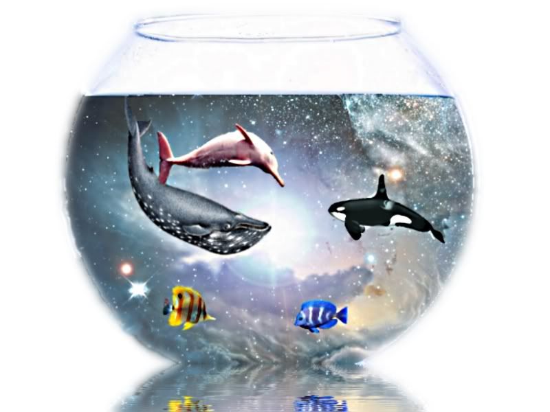 fishbowlscene.jpg