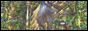 .::Pokémon Advanced 2.0::.