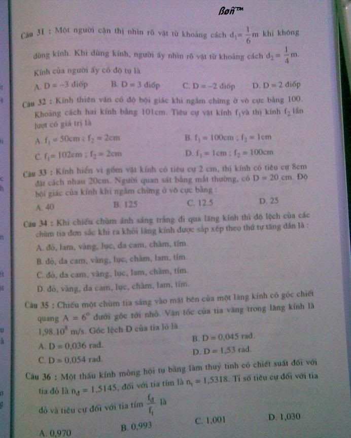 Anh025.jpg
