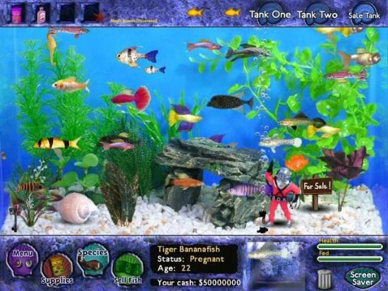 fish-tycoon-screen-big3.jpg