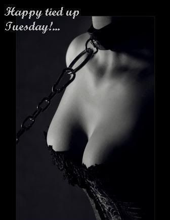 tied up tuesday Pictures, Images and Photos