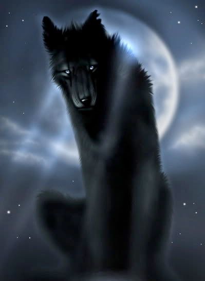blackwolf.jpg black wolf image by firedemongurl